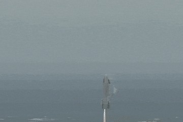 SpaceX星舰原型机在试飞测试中成功着陆